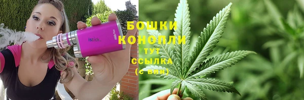 гидра Майский
