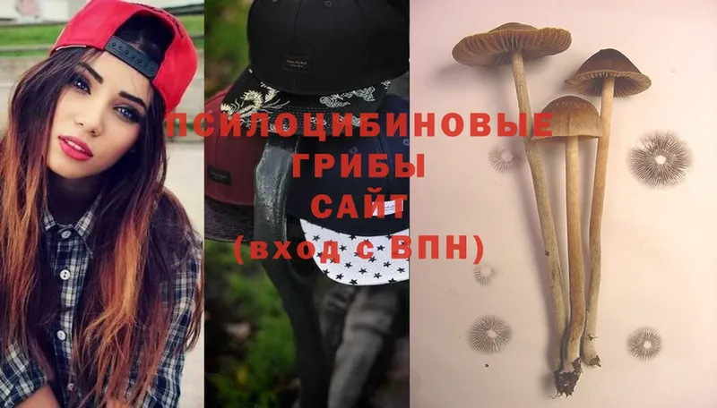 Псилоцибиновые грибы Cubensis  mega ТОР  Железногорск 