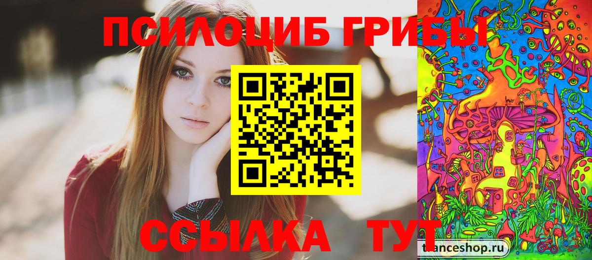 Железногорск  Галлюциногенные грибы MAGIC MUSHROOMS  Вход с VPN 