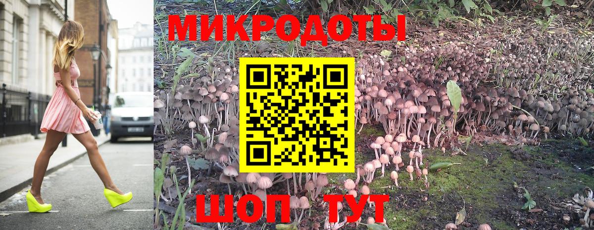 Галлюциногенные грибы прущие грибы Железногорск